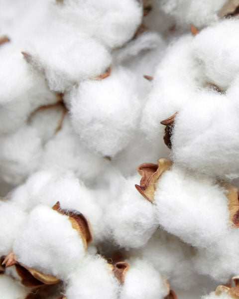 Supima Cotton Fabric