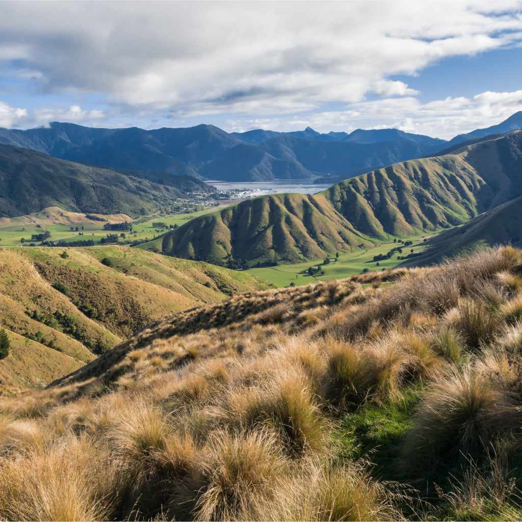 New Zealand Made Exclusives