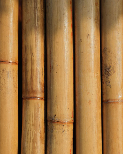 Bamboo Fabric