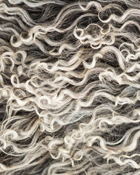 Premium Wool Fabric